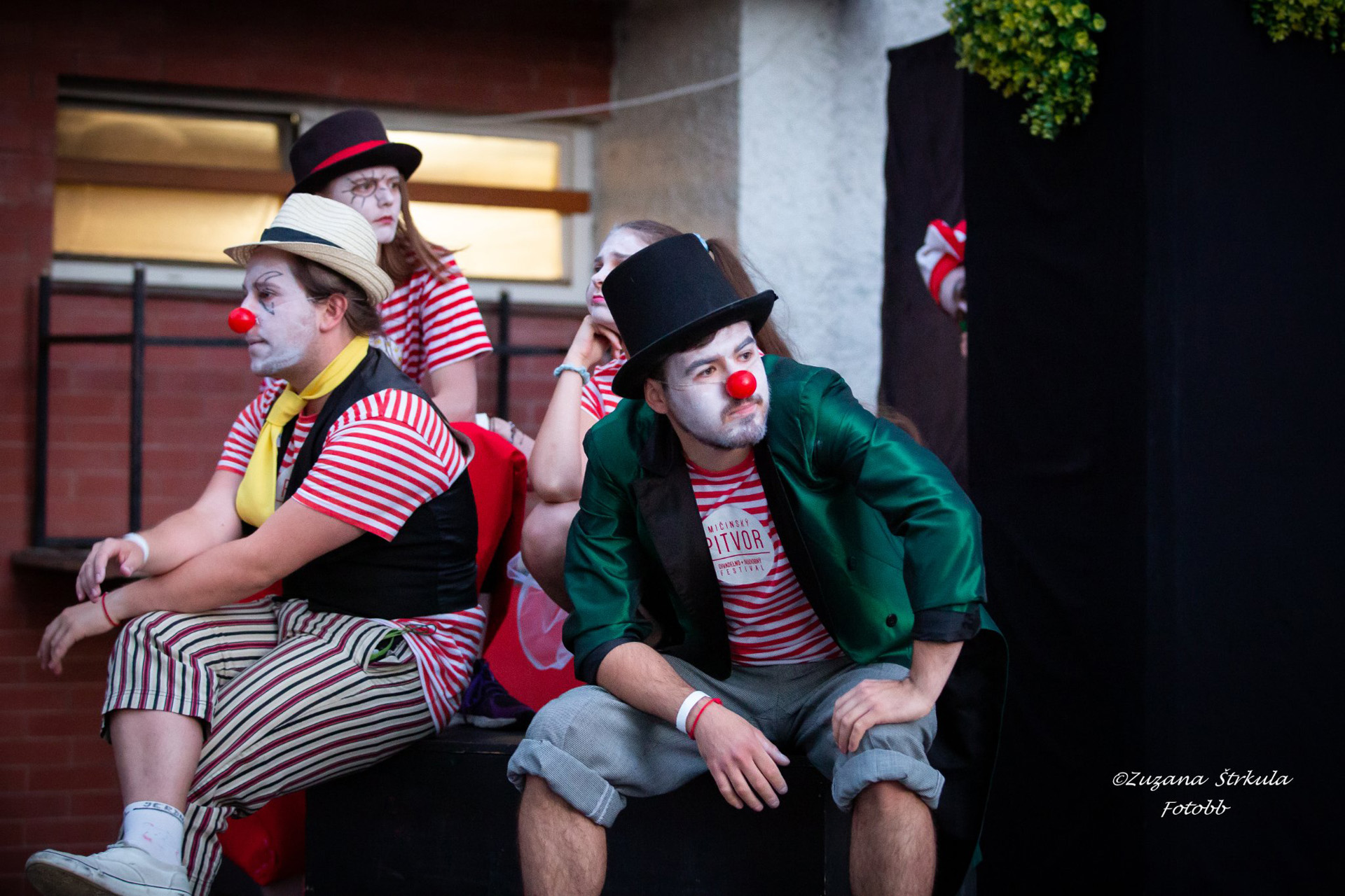 Študenti FDU na festivale Mičinský pitvor — fotografia 1