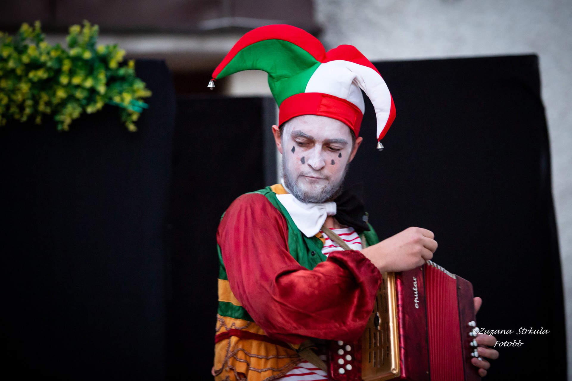 Študenti FDU na festivale Mičinský pitvor — fotografia 5